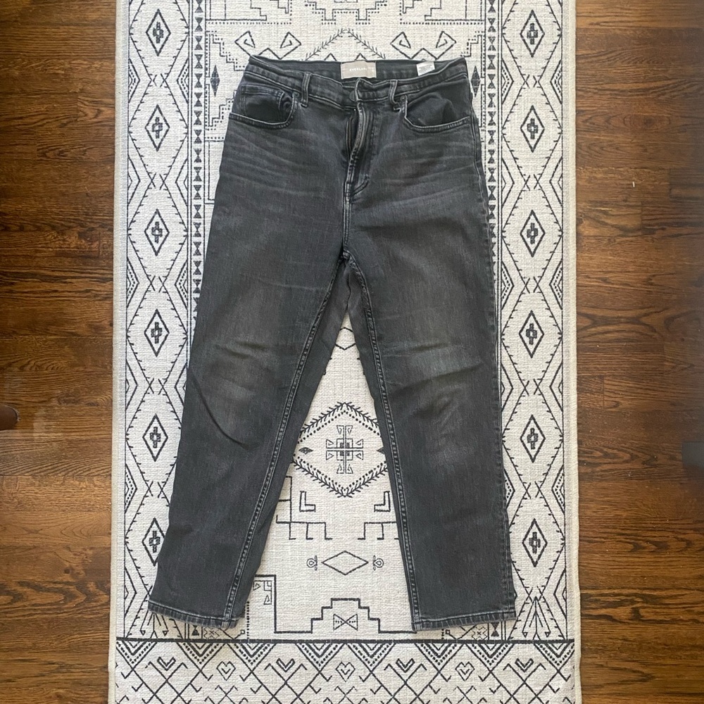 Everlane High Rise Cheeky